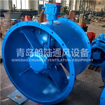 CBZ-110C Marine explosion-proof Axial blower